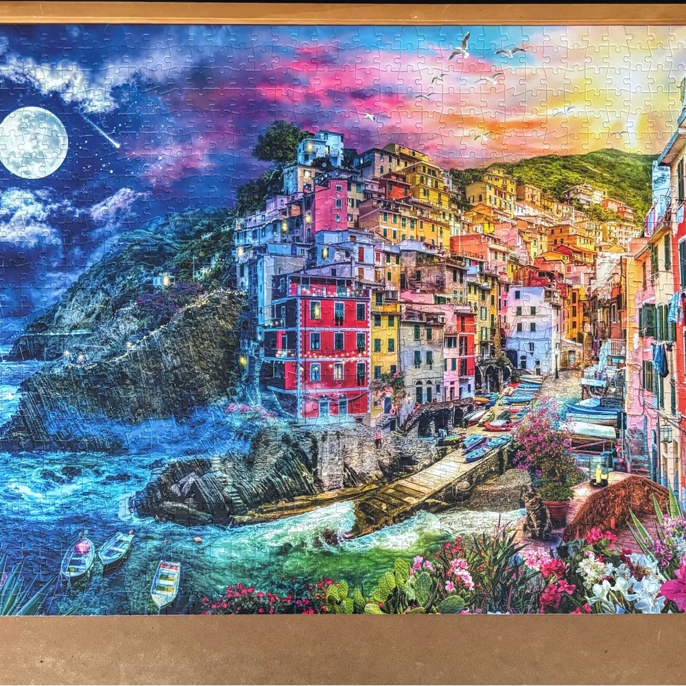 Day & Night 1000 Piece Puzzle